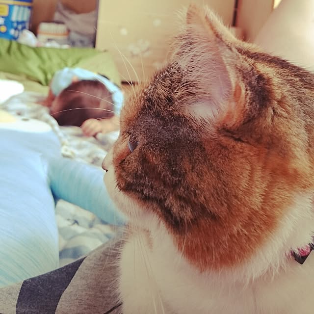 yukieさんの実例写真