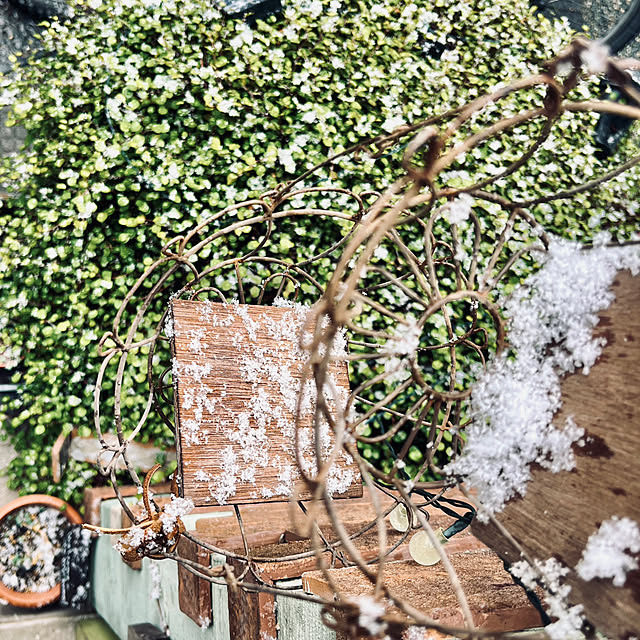 Rans_andy.さんの部屋