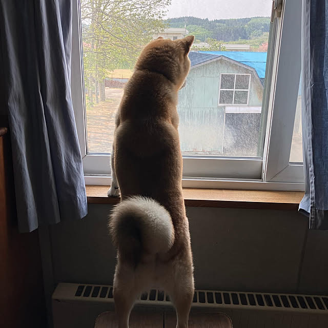 midoさんの実例写真