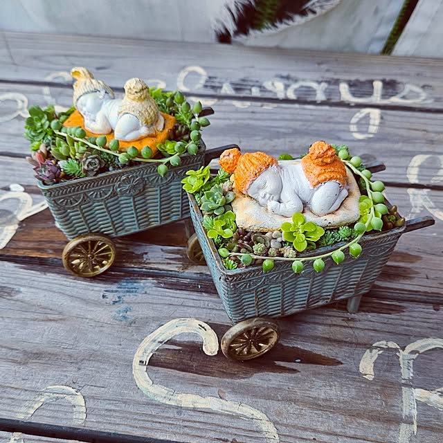 mocomocoさんの実例写真