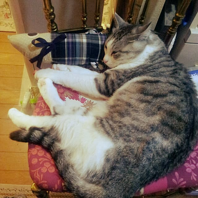 emmyyさんの実例写真