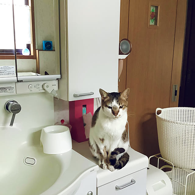 haruminさんの実例写真