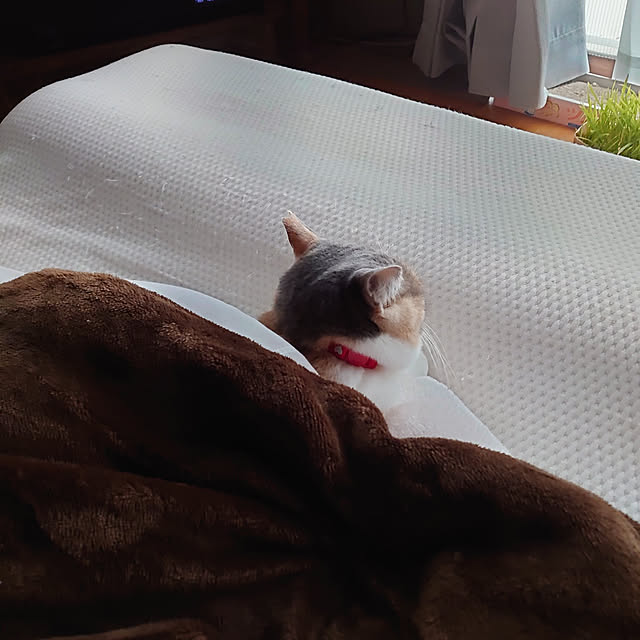 fukuさんの実例写真