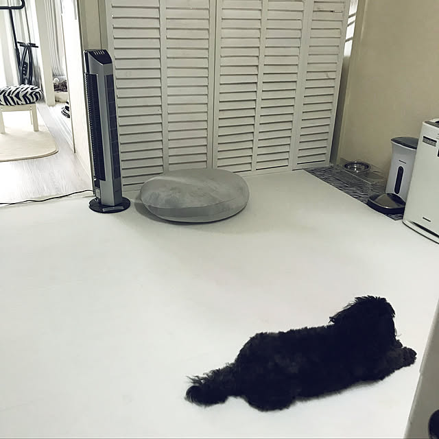 milk_cocoaさんの実例写真