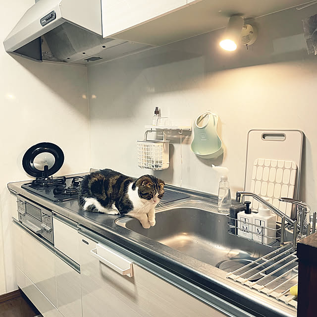 tansukeさんの実例写真
