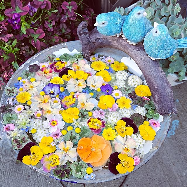 mocomocoさんの実例写真