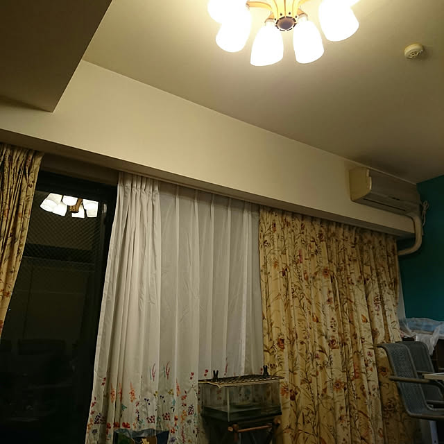 okyosan101さんの実例写真