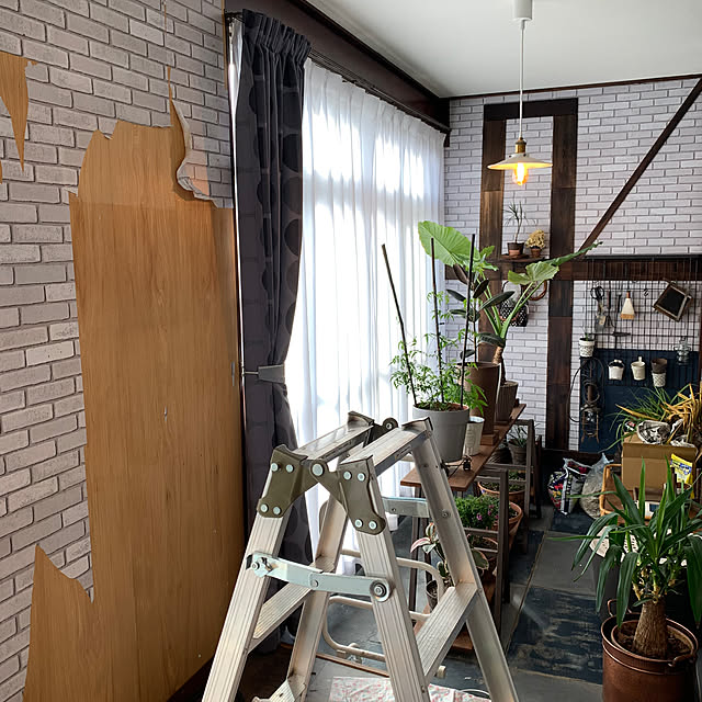 Mikazukiさんの部屋