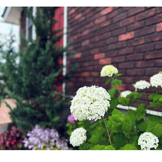 usagiさんの部屋