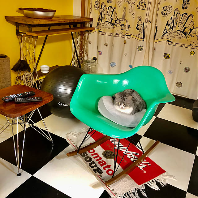 Shojiさんの実例写真