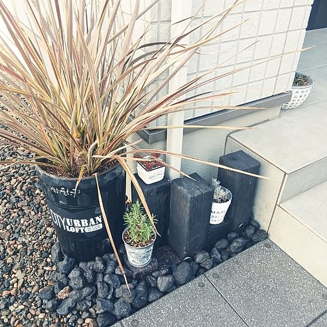 kaanaさんの実例写真