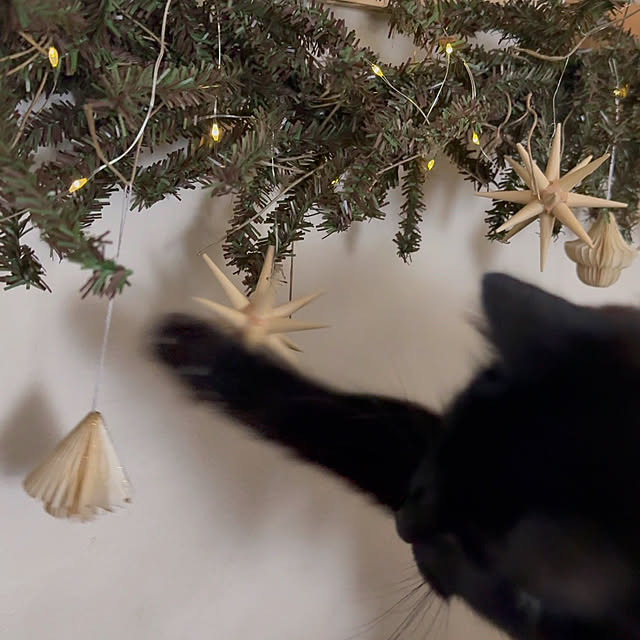 kokkomachaさんの部屋