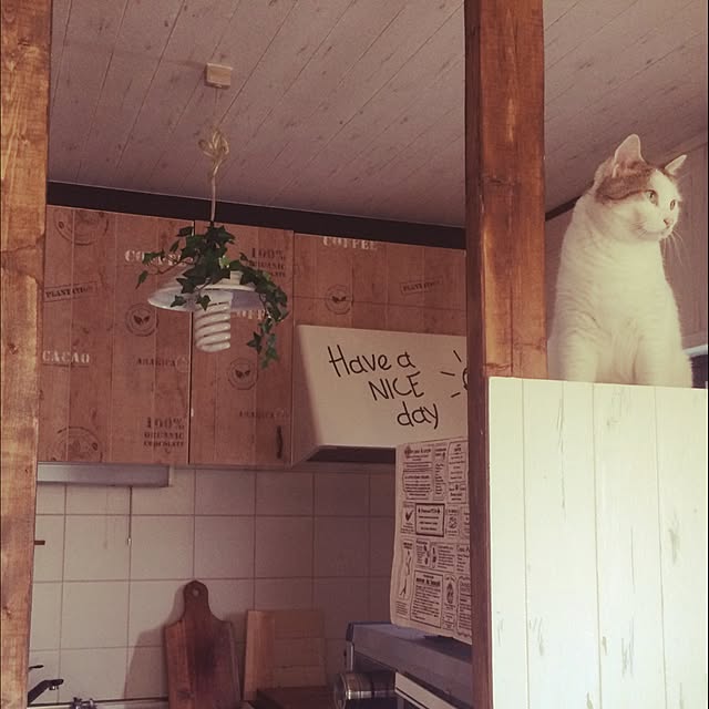 Happypinkさんの実例写真