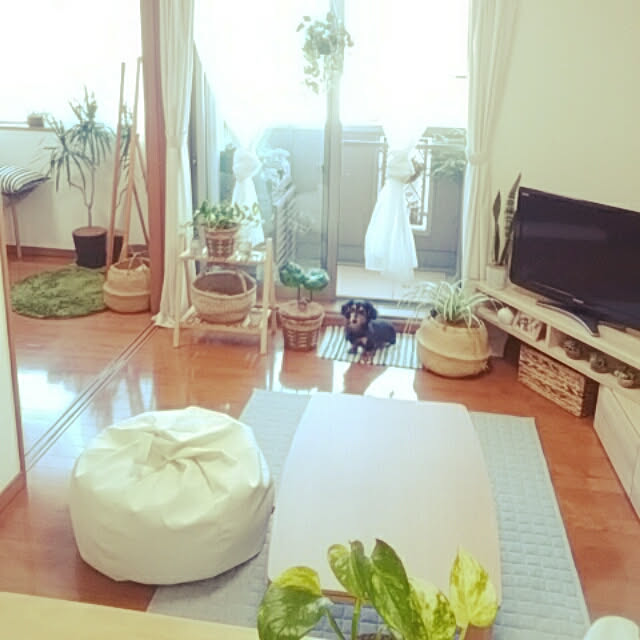 reonさんの実例写真