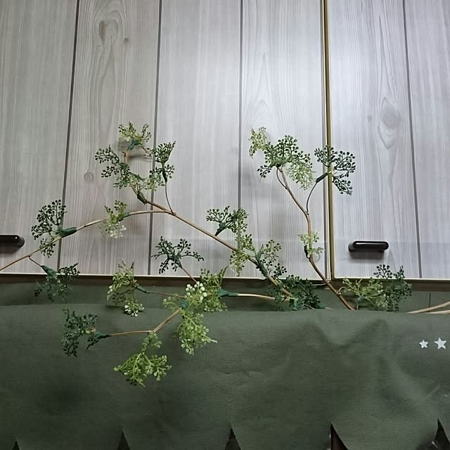 kotorinさんの実例写真