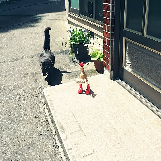 hana.1321jpさんの実例写真