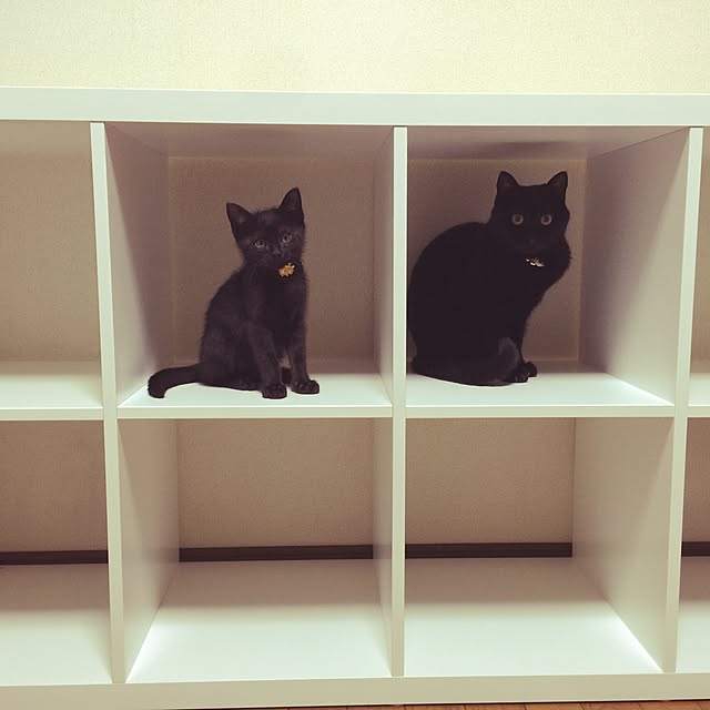 nacchanさんの実例写真