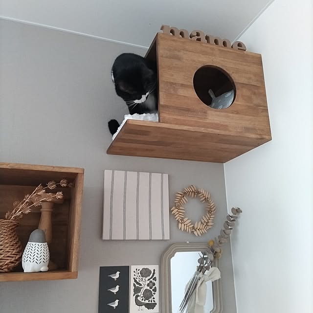 Yumikoさんの実例写真