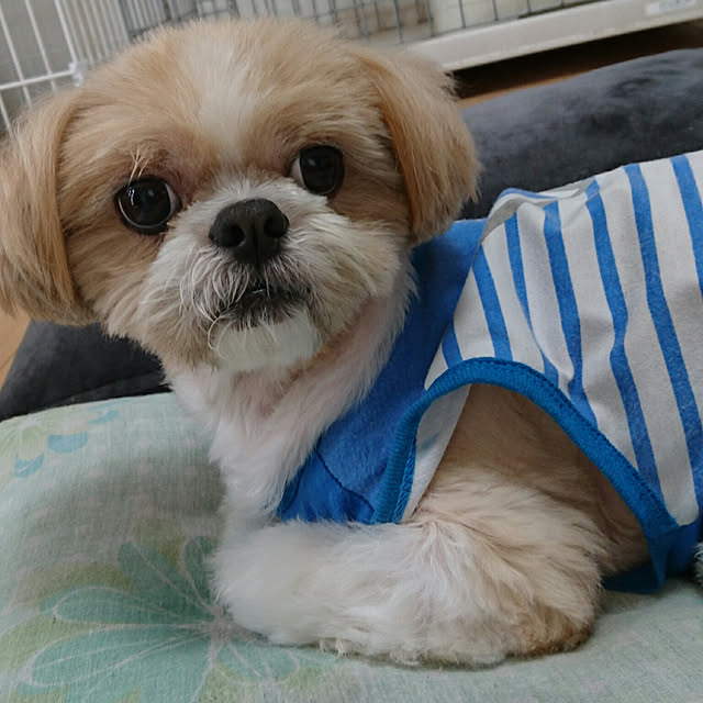ronさんの実例写真
