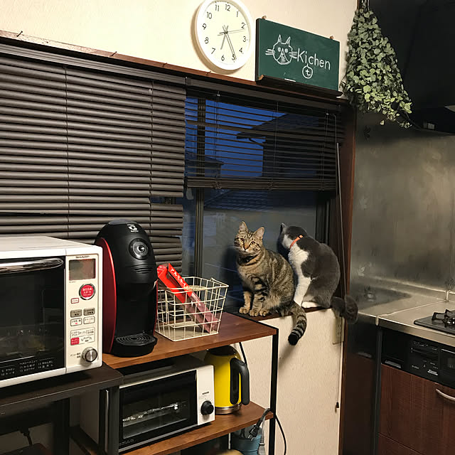 hacchiさんの実例写真