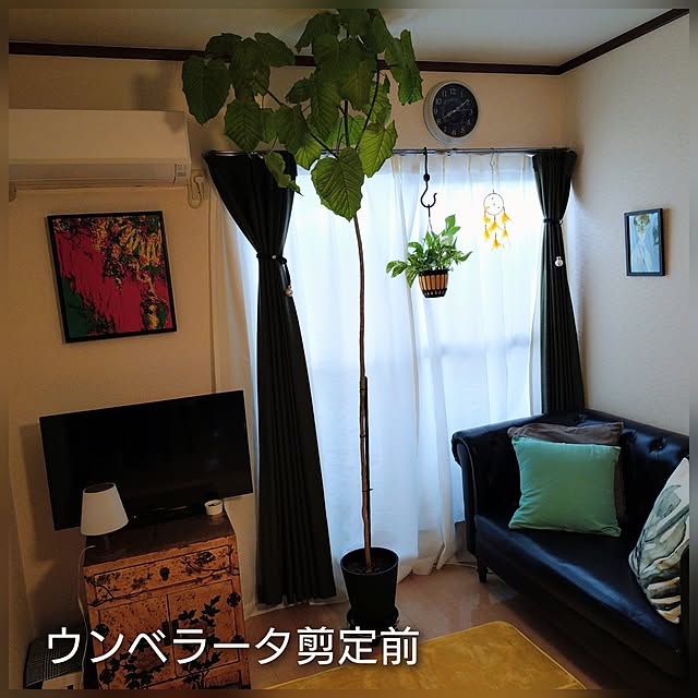 moruさんの実例写真