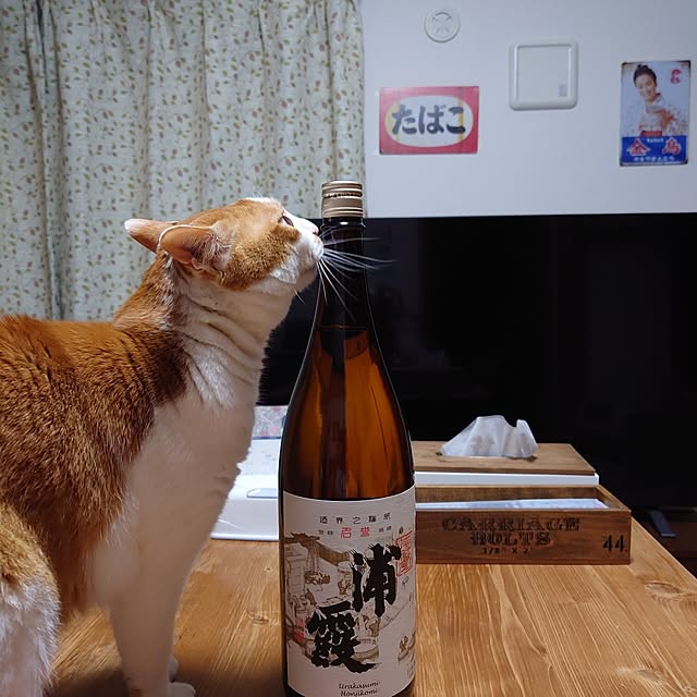 mugi77327732さんの実例写真