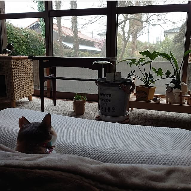 fukuさんの実例写真