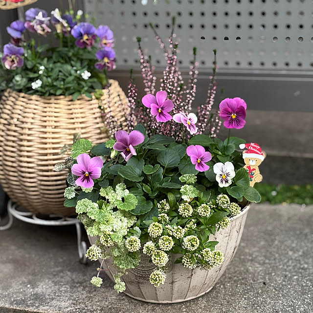 maayaさんの部屋