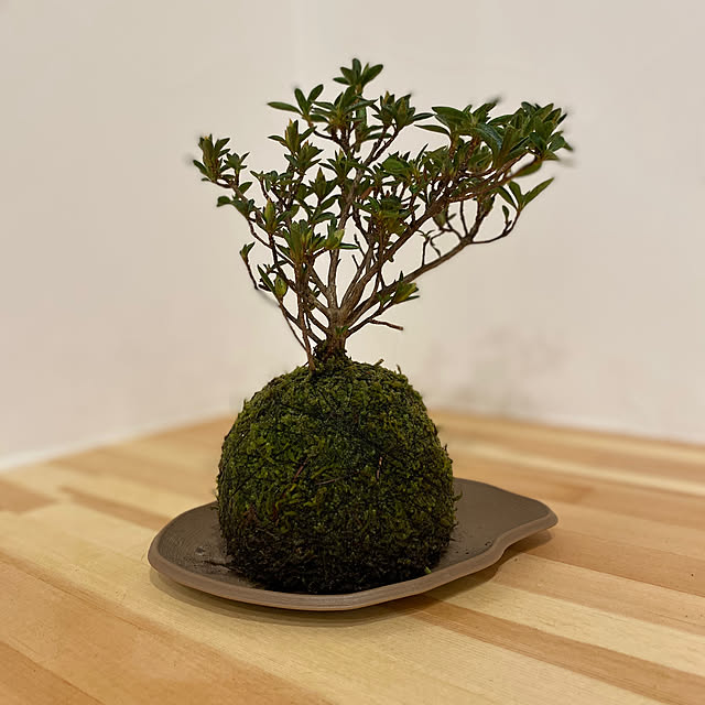 hachiさんの実例写真