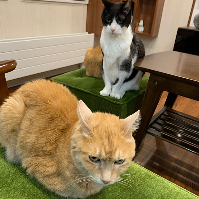 mikeume7さんの部屋