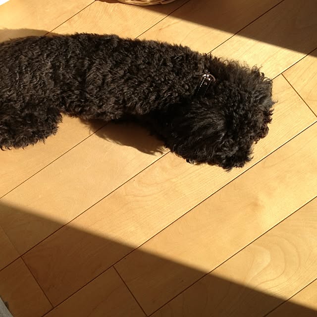 FXさんの実例写真