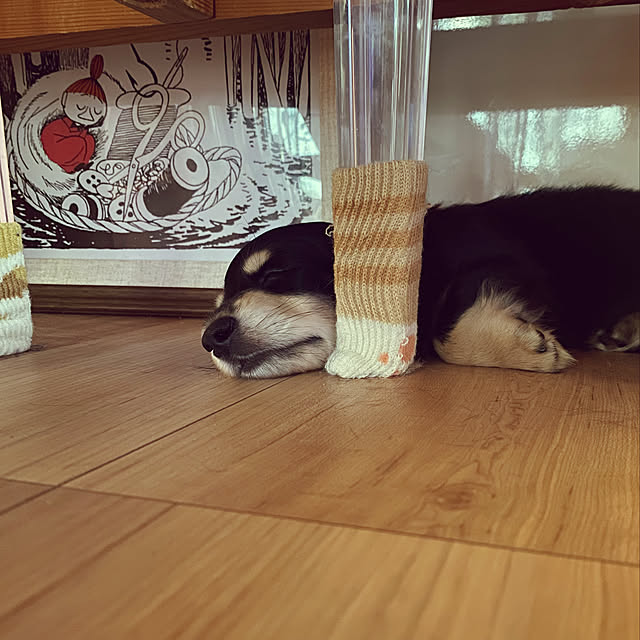 uninekoさんの実例写真