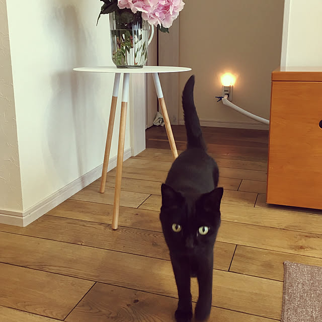 ramuramuさんの実例写真