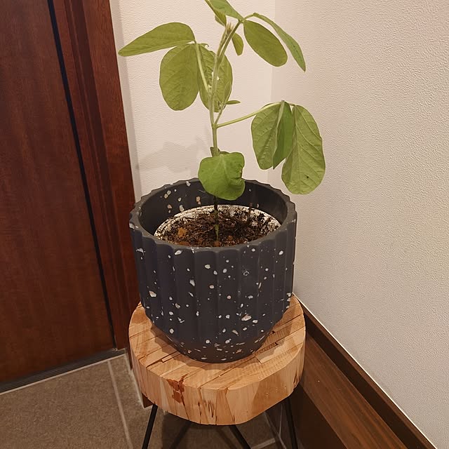 watさんの実例写真