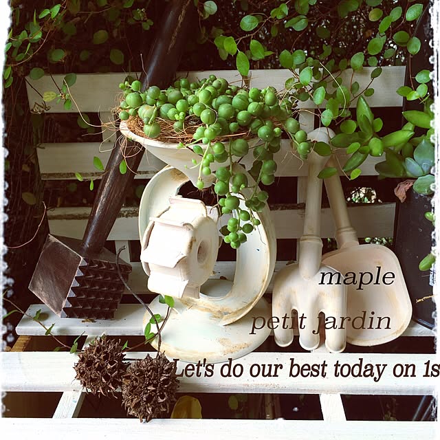mapleさんの実例写真