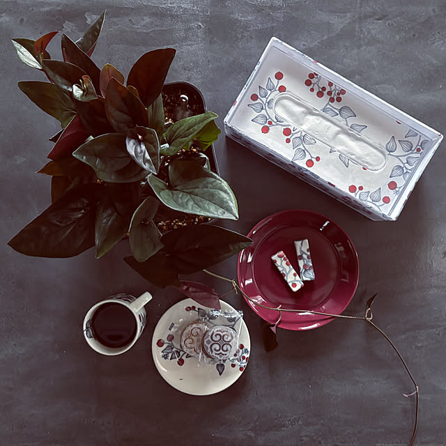 usagiさんの実例写真