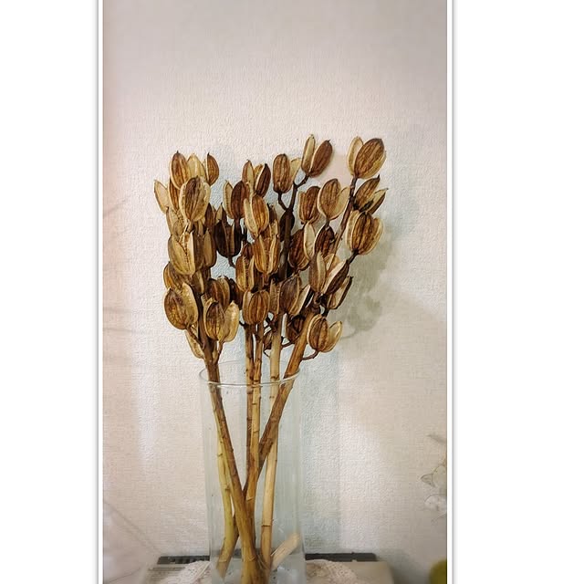 monnさんの実例写真