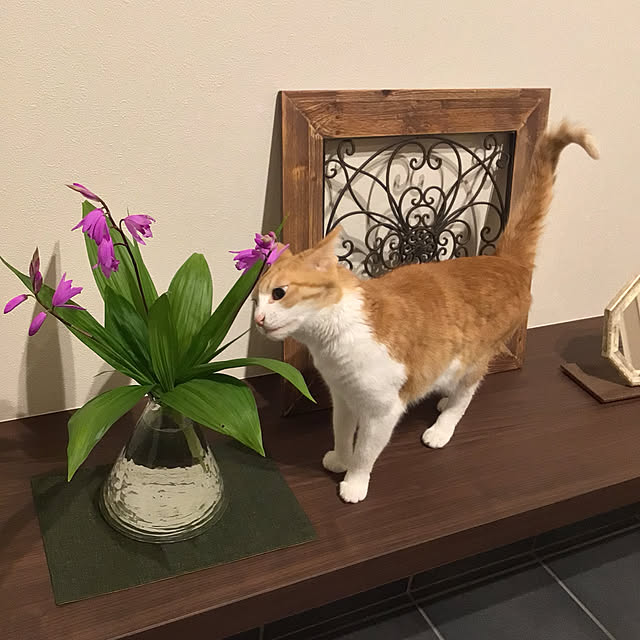 houenさんの部屋