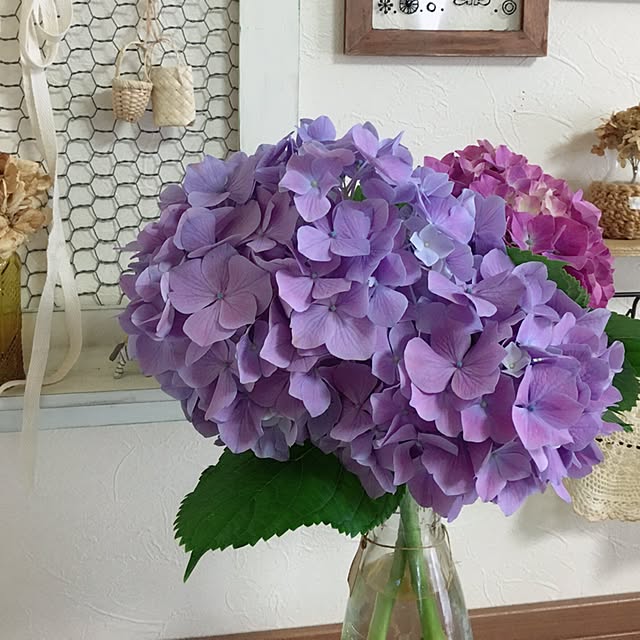 charuさんの実例写真