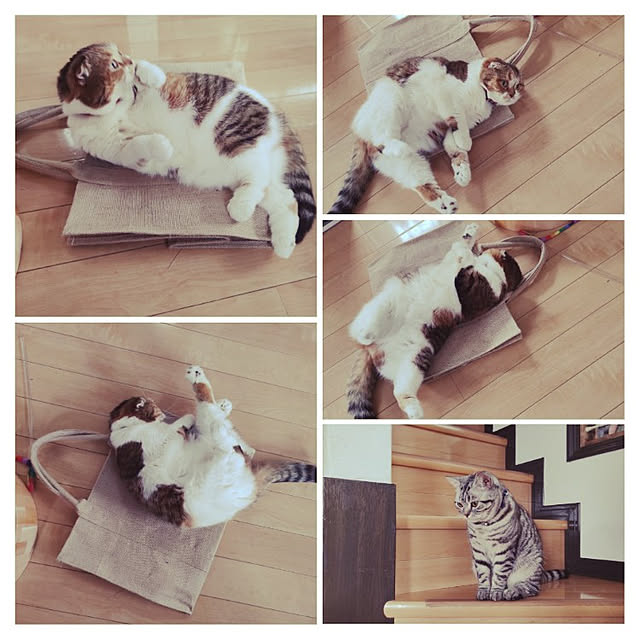 hiro3さんの実例写真