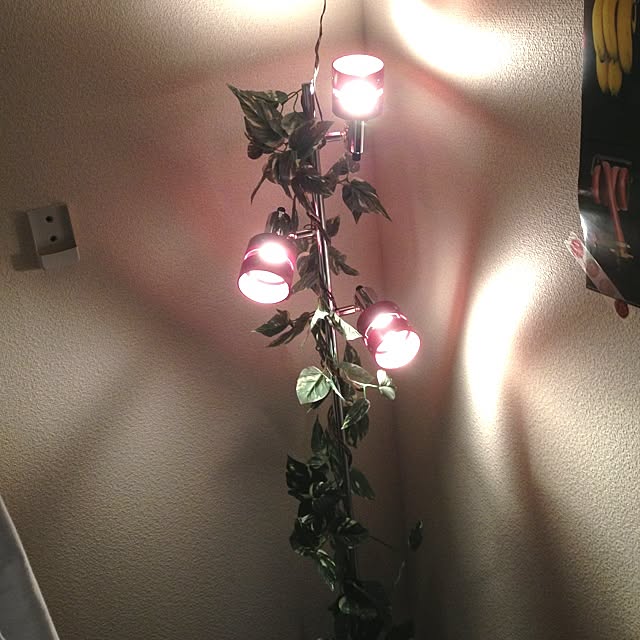 koutaさんの実例写真