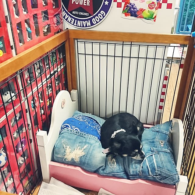 haruharuさんの実例写真