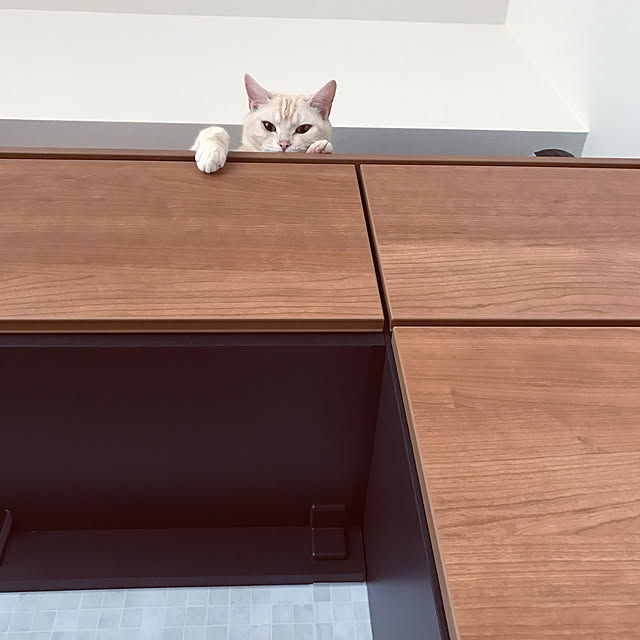hiyupan88さんの実例写真
