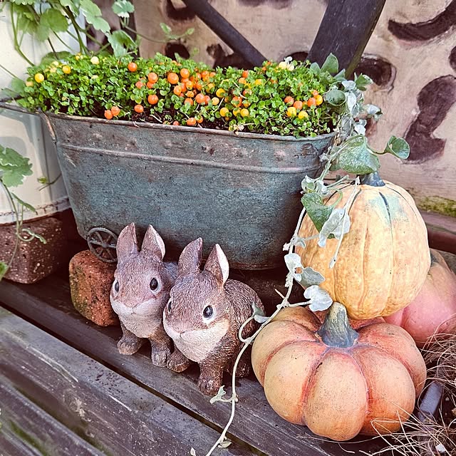 mocomocoさんの部屋