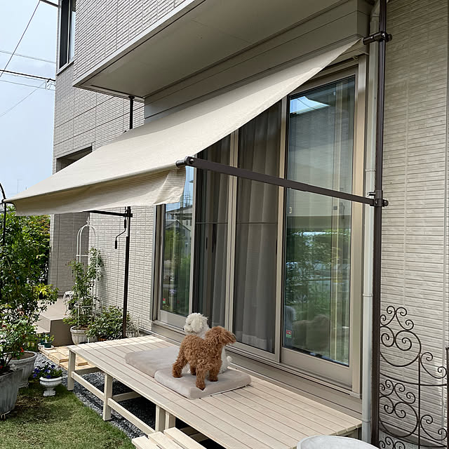 sugarcookieさんの実例写真