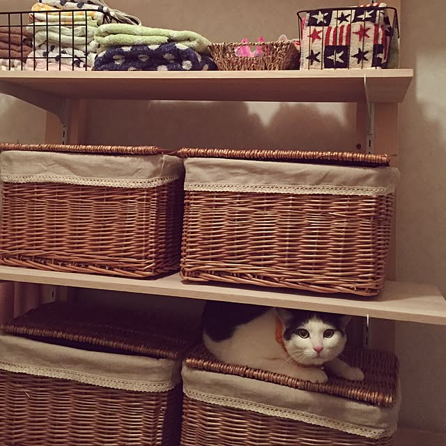 miiko3さんの実例写真