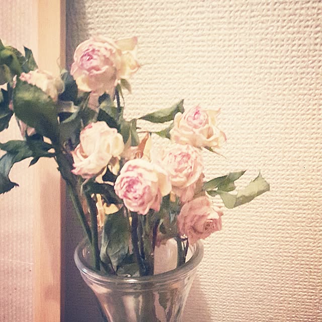 yukiさんの実例写真