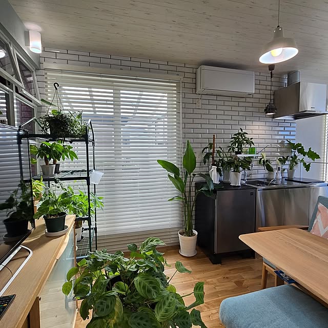 nonbiri_house_さんの部屋