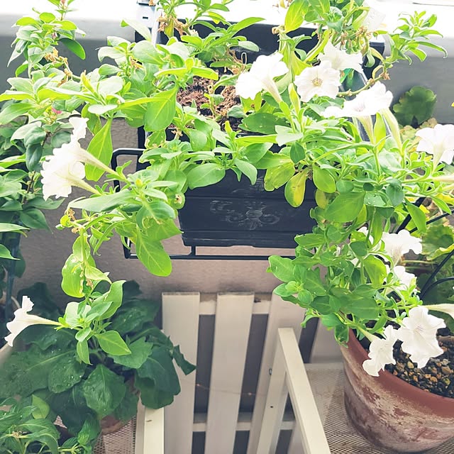 berryberryさんの部屋