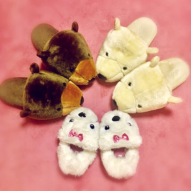 aiuerikaさんの実例写真